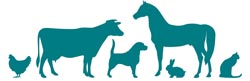 Frise_animaux Frise_animaux